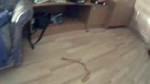 17014514110120.webm