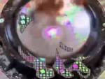 17289460609311.mp4