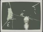 17281120603621.webm