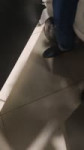 17506967292430.mp4