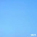16915641818901.webm