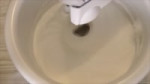 16837416203102.webm