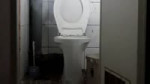 16652543981000.webm