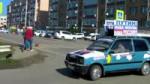 Свиновоз.webm