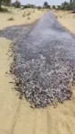 1742413599807.webm
