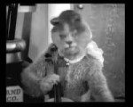 1662162139821.webm