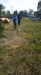 1744101238500.mp4