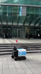 175077876864420064.mp4