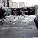 1623648150652.mp4