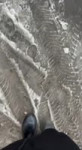 17435184524440.mp4