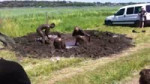 16163284003690.webm
