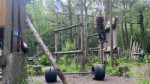 Эктоморф стронгмен.mp4