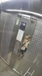 17200236238980.mp4