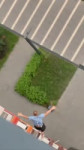 VID20250717042909792.mp4