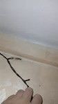 video2025-07-1819-18-49.mp4