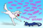 2179663safeartist-colon-banebusterprincess+celestiaprincess+lunacatdogg4catifiedcollarcross-dash-popping+veinscutecutelestiadogifiedexcitedfemal.png