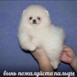 изображение.png