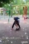 17530249948461.mp4