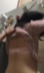 16913235366880.webm