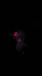 1753624316972956.webm