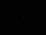 17525723754630.mp4