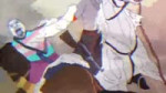 17441134213892.webm