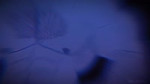 17491911624200.mp4