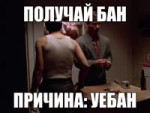 17491244330301.mp4