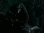 17439488787891.webm