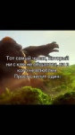 17491244660810.mp4