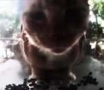 17536137656193.mp4