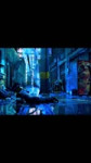17532072504831.mp4