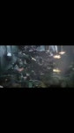 17533984297000.mp4