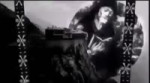 17531021910742.mp4