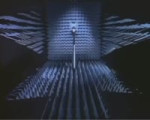 17526099762612.webm