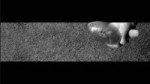 17525690331231.mp4