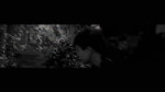 17492629717282.mp4