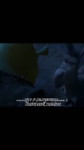 17491245554470.mp4