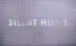 17346130539600.mp4