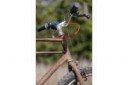 Rick-Hunters-Rusty-Singlespeed-Cruiser-7-1335x890.png