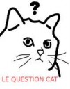 questioncat.png