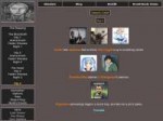 Screenshot-2018-2-10 BrantSteele Hunger Games Simulator(17).png