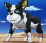 Iggy.png