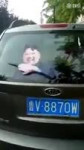  102.webm