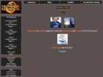 FireShot Capture 148 - BrantSteele Hunger Games Simul - htt[...].png