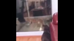 15614387632700.mp4