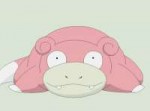 pokemon-slowpoke-bespoleznost-i-otchayanie6.jpg