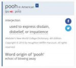 pooh in American.jpg