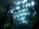 light-sunlight-underwater-green-biology-darkness-algae-scre[...].jpg