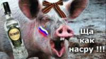 русские свиньи.jpg